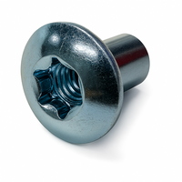 31C597NTB0Z/P119 5/16-18 X .597 TORX TRUSS BARREL NUT   ZN